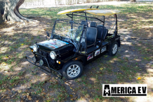 golf cart rental indiantown, indiantown golf cart rental, street legal golf car