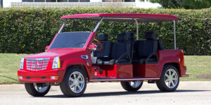 affordable golf cart rental, golf cart rent indiantown, cart rental indiantown